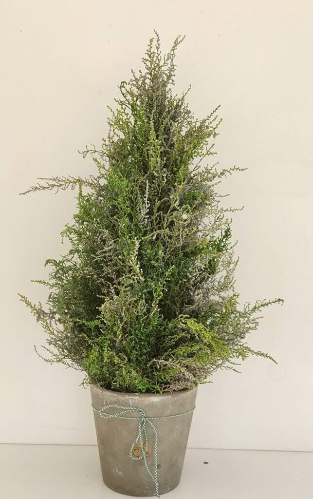 Christmas Tree in pot (300mm) Andreas Topiaries