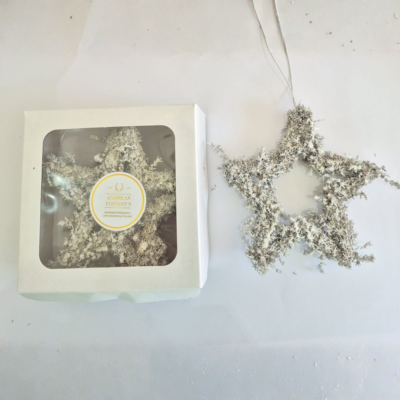 Slangbos Stars with Glitter (Box of 3) - White