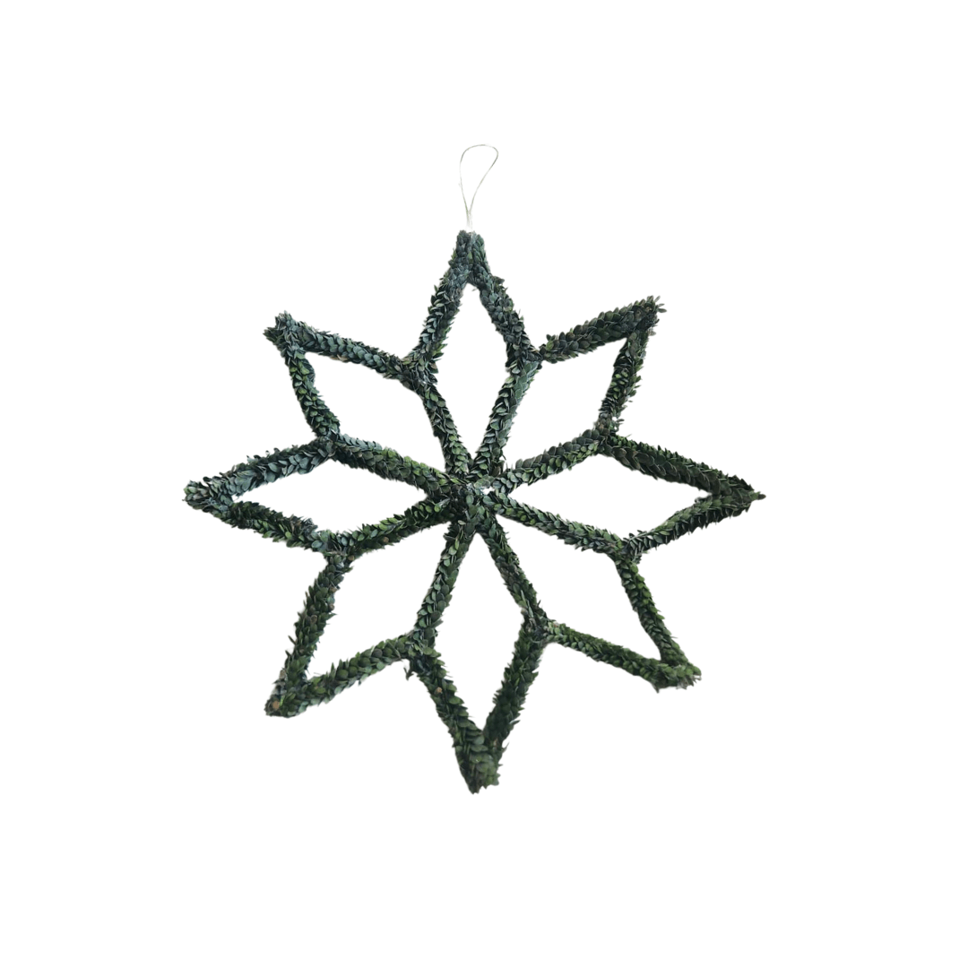 Buxi Snowflake Green Andrea s Topiaries
