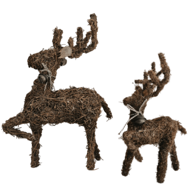 Reindeer Brazilia - Natural