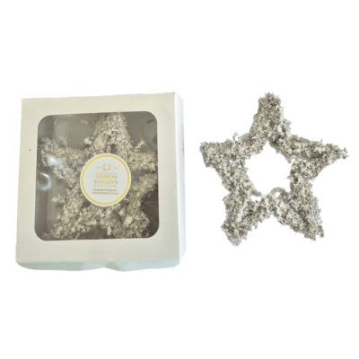 Slangbos Stars with Glitter (Box of 3) - White