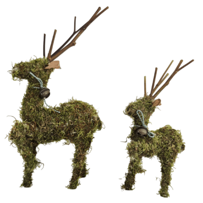 Reindeer Moss - Natural
