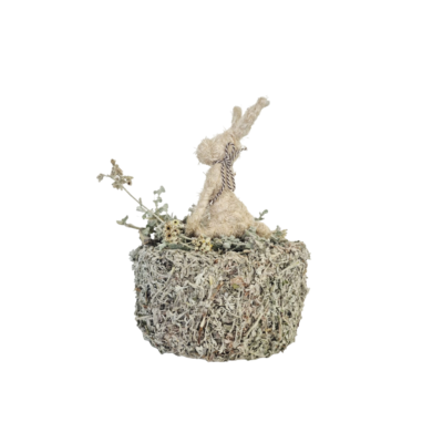 Small Sitting Pampas Rabbit & Fynbos Nest