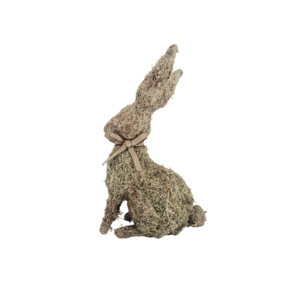 Sitting Fynbos Rabbit - Natural