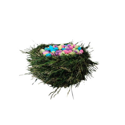 Grass Nest