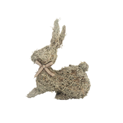 Lying Down Fynbos Rabbit - Natural