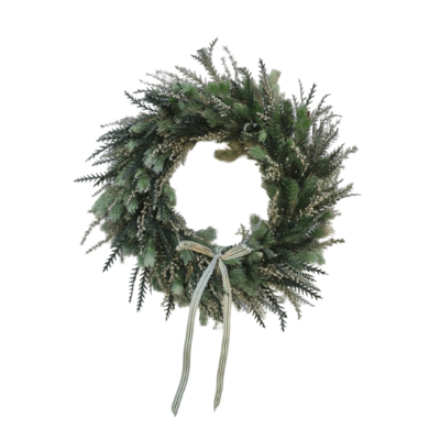 Adenanthos / greyvillea / snow wreath
