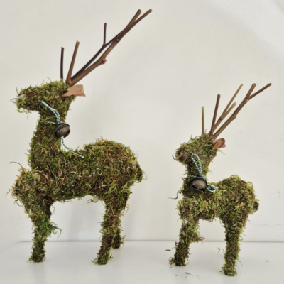 Reindeer Moss - Natural