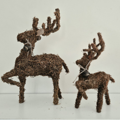 Reindeer Brazilia - Natural